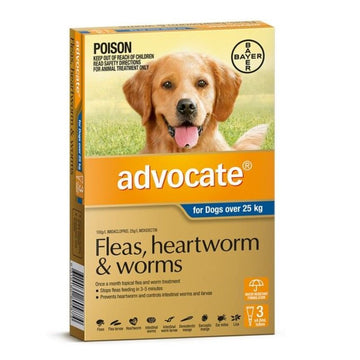 Advocate For Extra Large Dogs (Over 25kg) Advocate